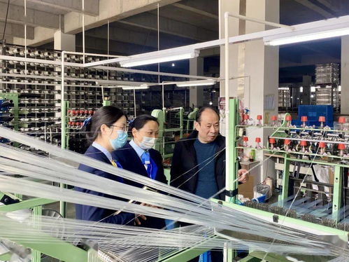 數字金融看浙里 金融服務小微企業篇——浙江技術服務