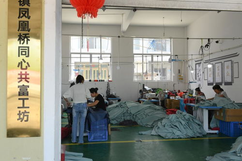 村里建起“沒(méi)有圍墻的工廠(chǎng)”——浙江臨海“共富工坊”以技術(shù)服務(wù)助力農(nóng)民家門(mén)口就業(yè)增收