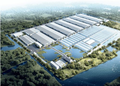 浙江千噸級南美白對蝦工廠化養殖場 融合兩大全球先進技術，引領產業新篇章